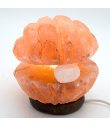 Polished Salt Shell Lamp - Natural - Himalaya - Online