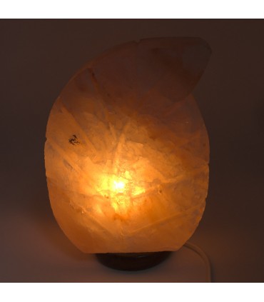 Lampada di sale dell'Himalaya - Modello Foglia