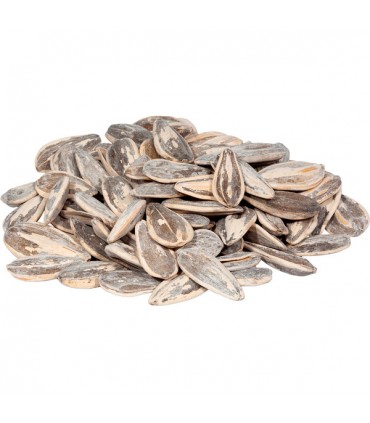 Pipa XXL con Sale - Noci - (1Kg.)
