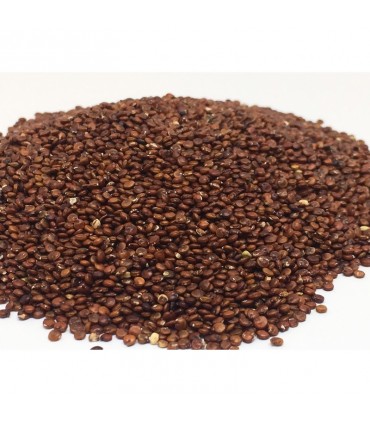 Semilla Quinoa Roja - 1Kg