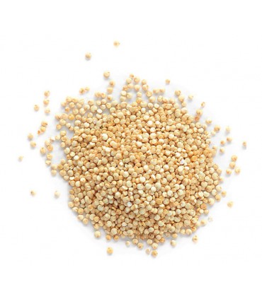 Semilla Quinoa Blanca- 1Kg