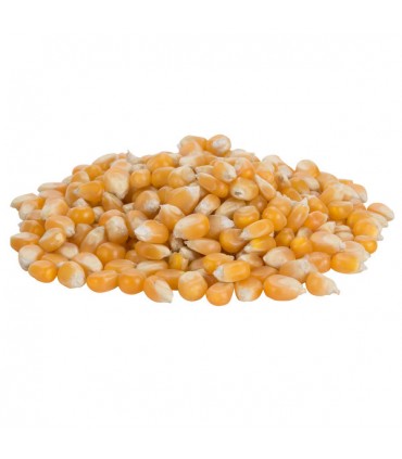 Pipoca Roseta Milho - Formato XXL 2,5 kg