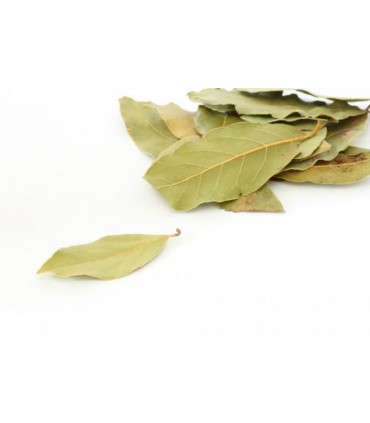 Hoja de Laurel Seco - Bote - 20gr.