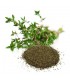 Thymian in getrocknetem Blatt - Küchengewürze - 75gr