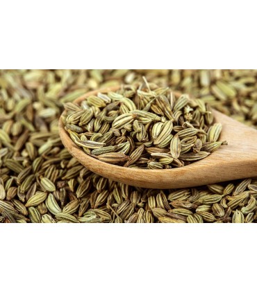 Romero seco hoja - Especias Orientales - 60gr.